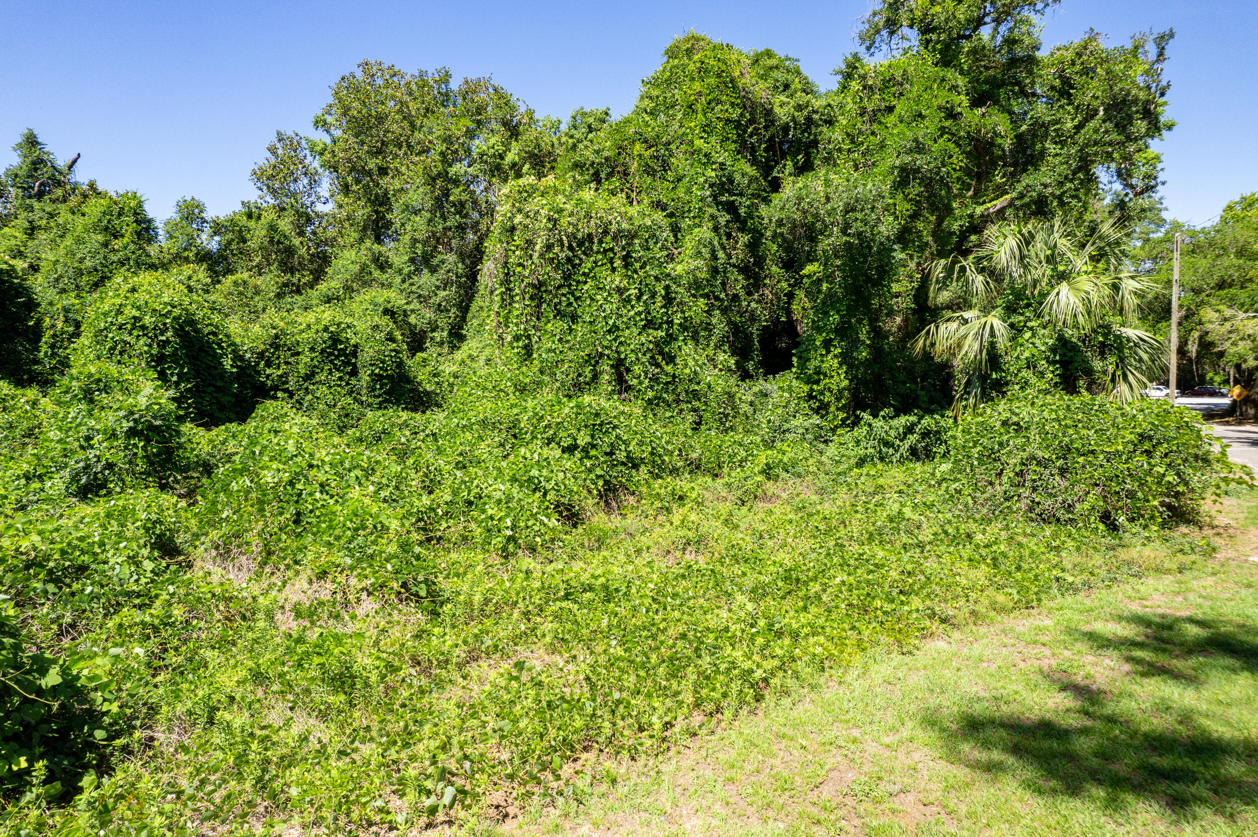 0 Moore Street Walterboro, SC 29488 - Photo 6 of 19 DJI_0022