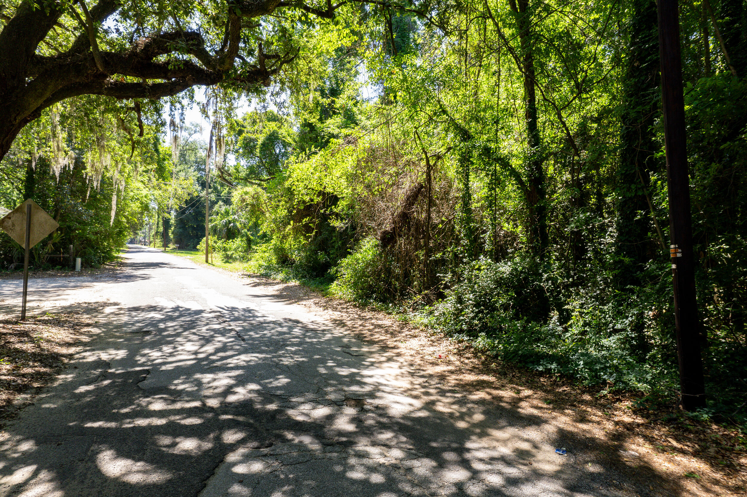 0 Moore Street Walterboro, SC 29488 - Photo 7 of 19 DJI_0026