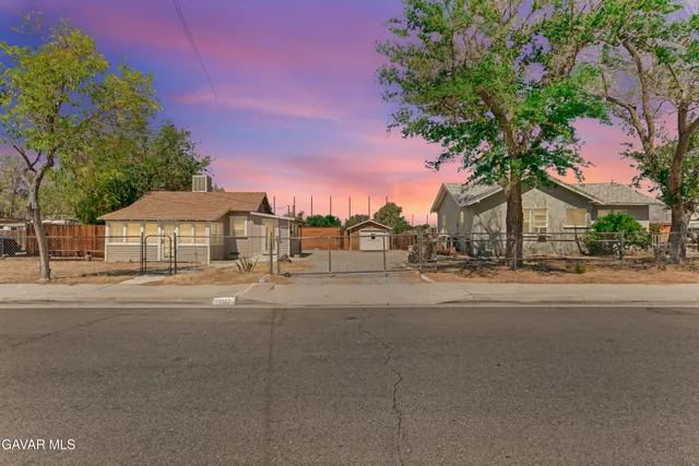 a street view with large trees