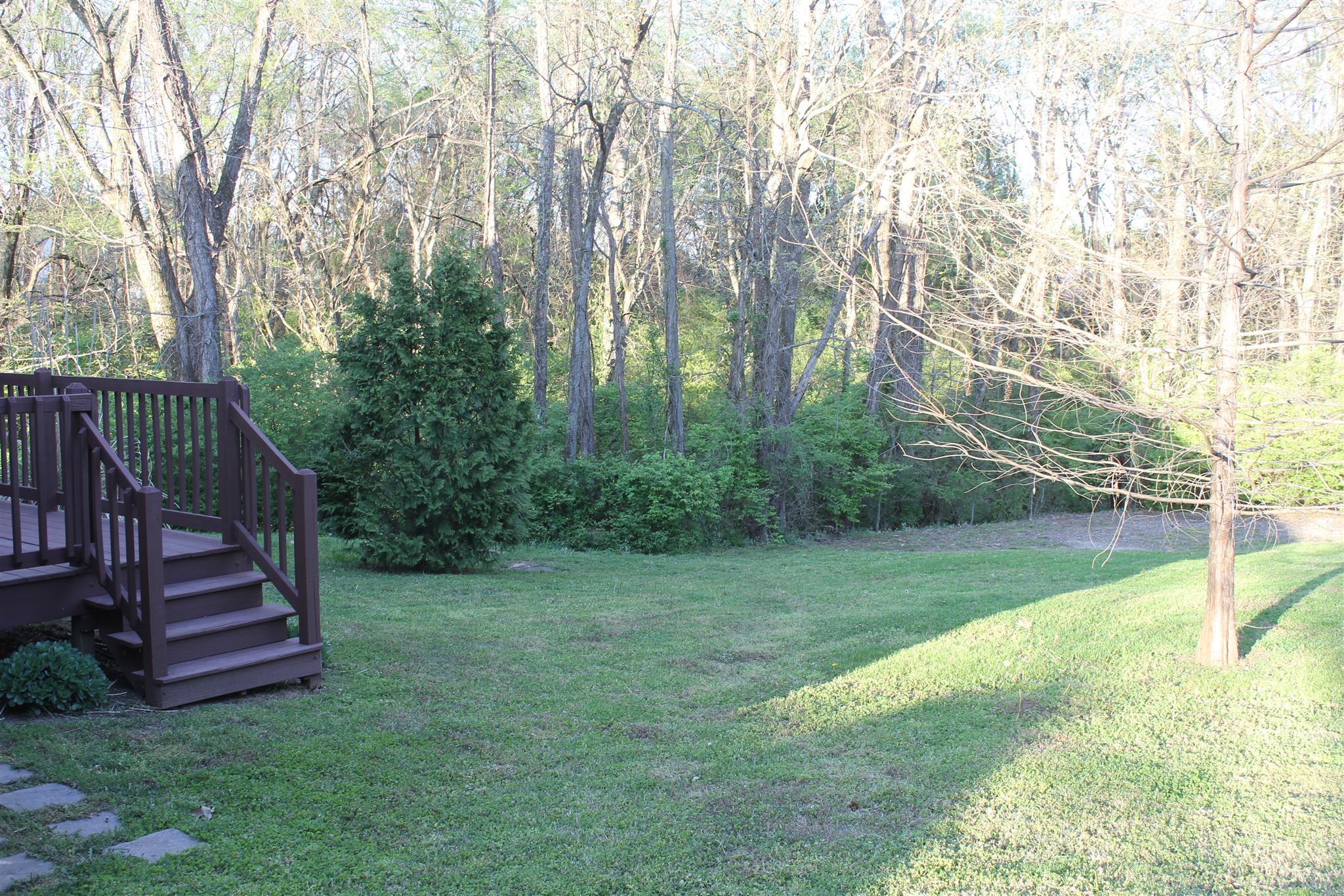 1638 Sulphur Springs Road Murfreesboro, TN 37129 - Photo 3 of 13 Relax in the private backyard!