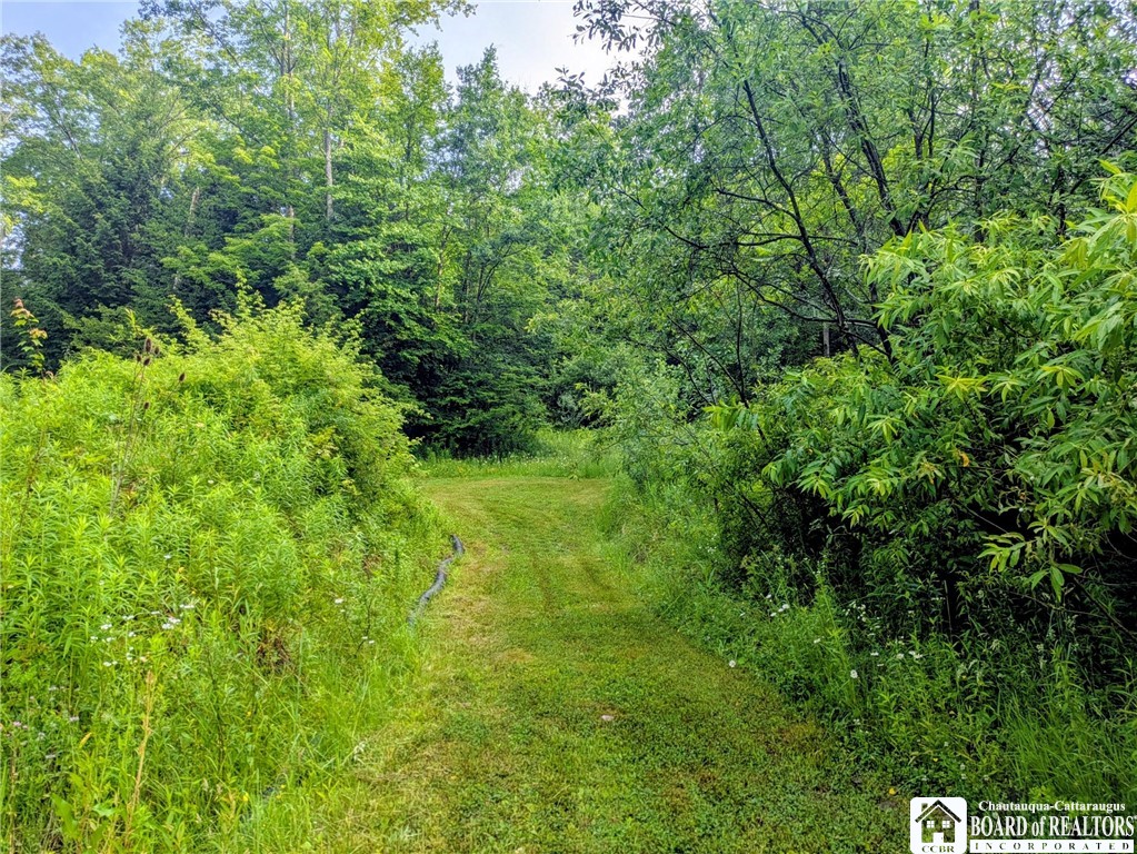 1186 28th Creek Road Ellington, NY 14747 - Photo 16 of 22