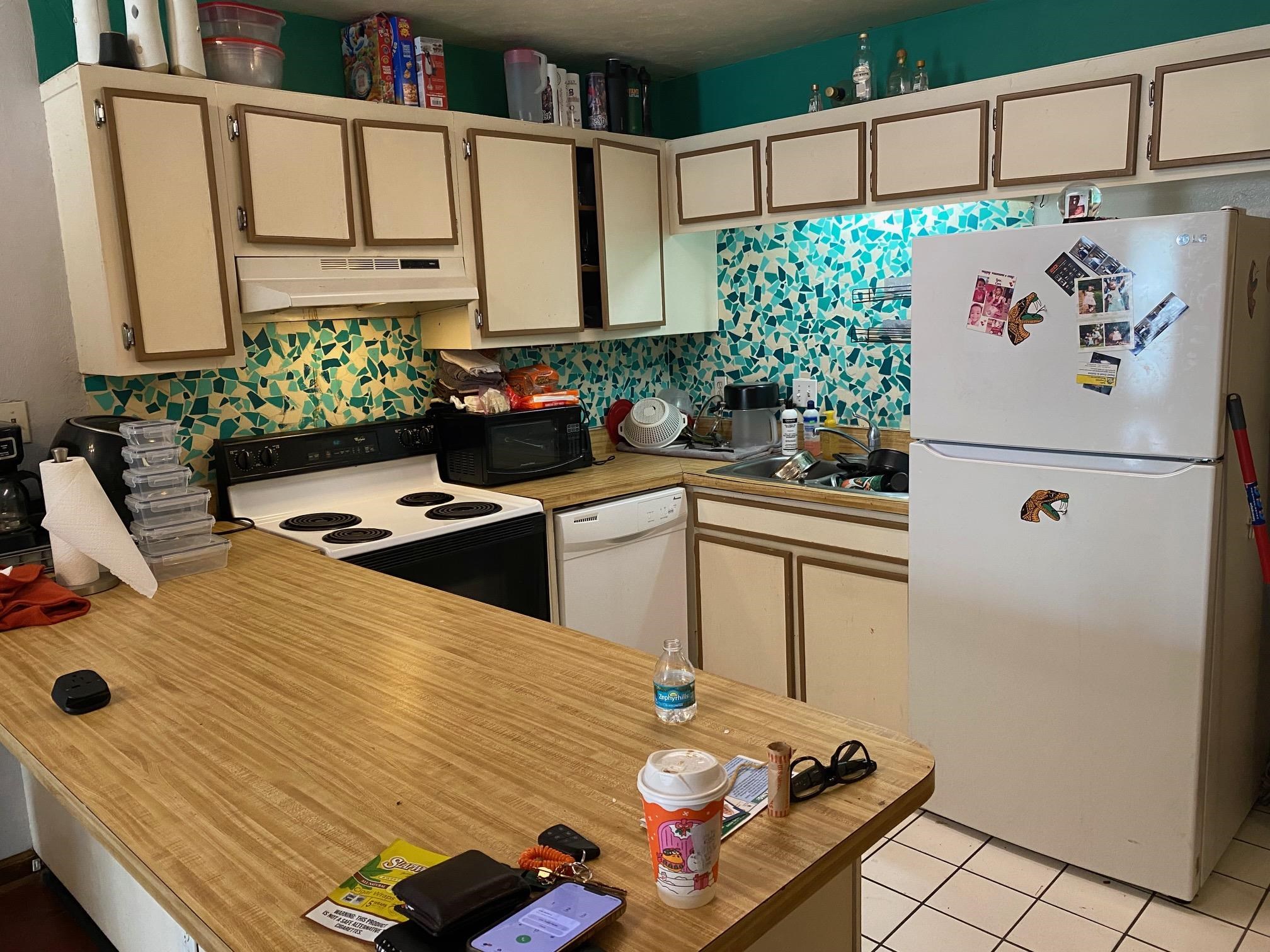 1149 Ocala Road Tallahassee, FL 32304 - Photo 4 of 10