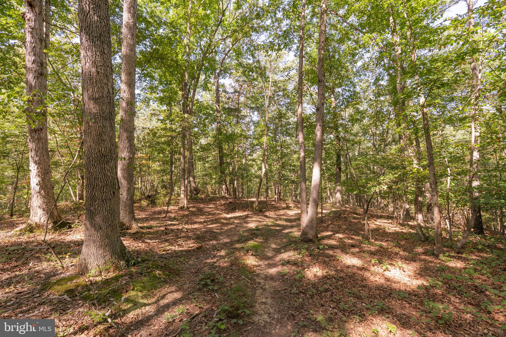 82 Sabrina Lane Gerrardstown, WV 25420 - Photo 104 of 104