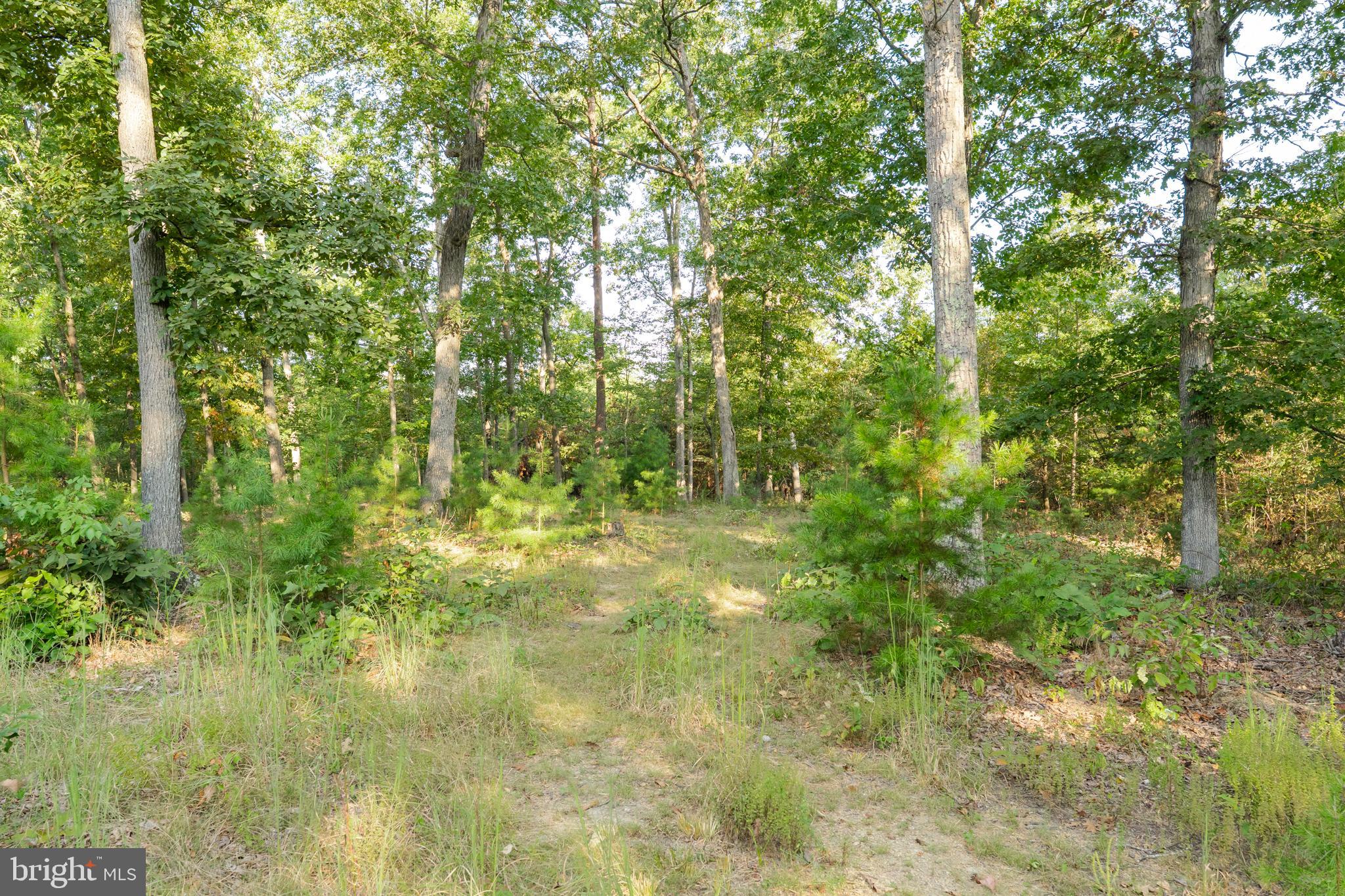 82 Sabrina Lane Gerrardstown, WV 25420 - Photo 13 of 104 a view of outdoor space and trees