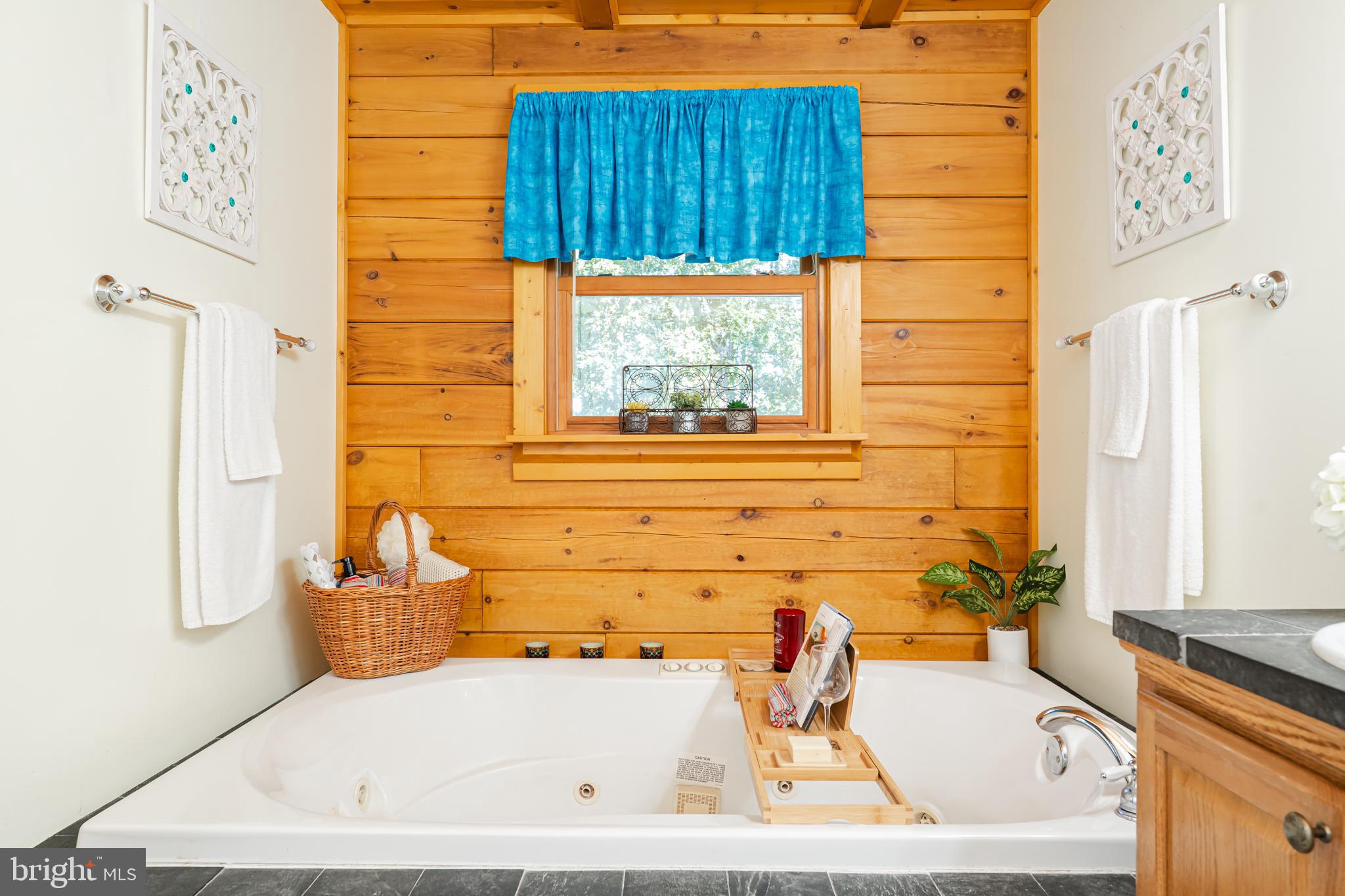 82 Sabrina Lane Gerrardstown, WV 25420 - Photo 44 of 104 a bathroom with a tub sink and window