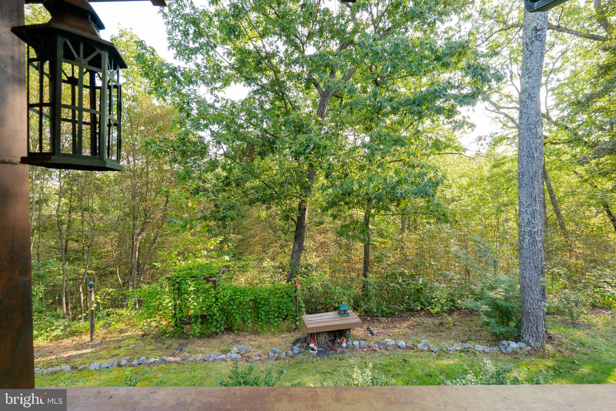 82 Sabrina Lane Gerrardstown, WV 25420 - Photo 8 of 104