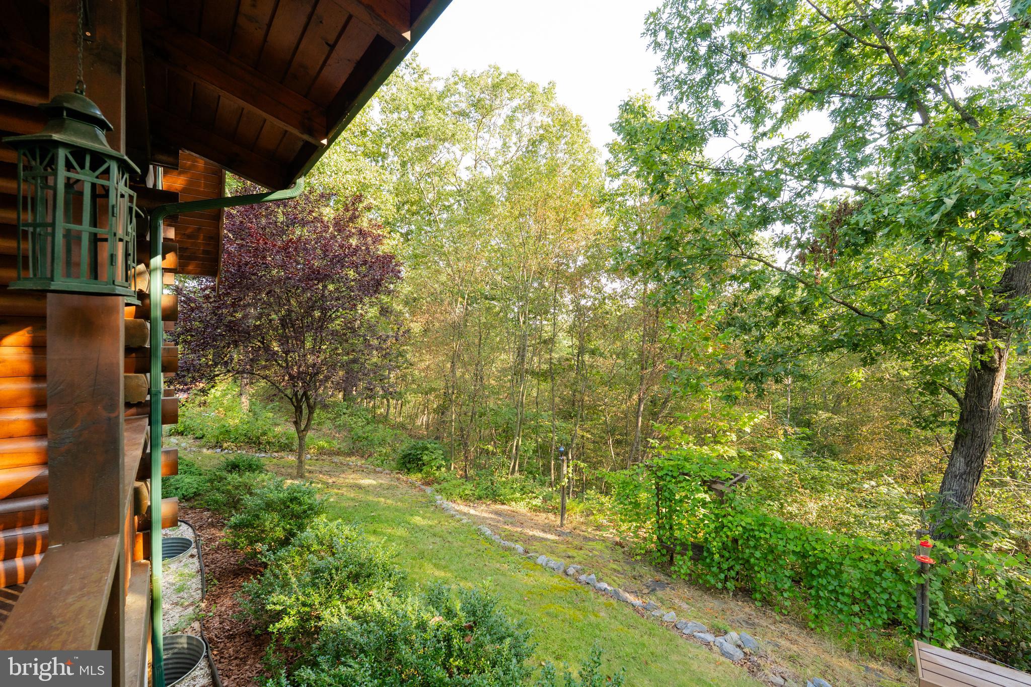 82 Sabrina Lane Gerrardstown, WV 25420 - Photo 9 of 104 a view of forest