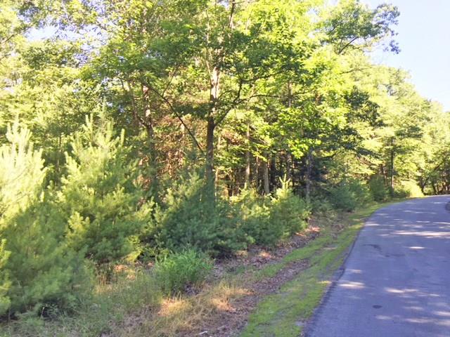 Mail Road Barryville, NY 12719 - Photo 1 of 1 Gallery Image 1