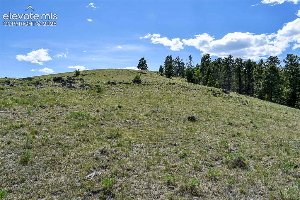 0 Bear Cat Road Guffey, CO 80820 - Photo 27 of 40
