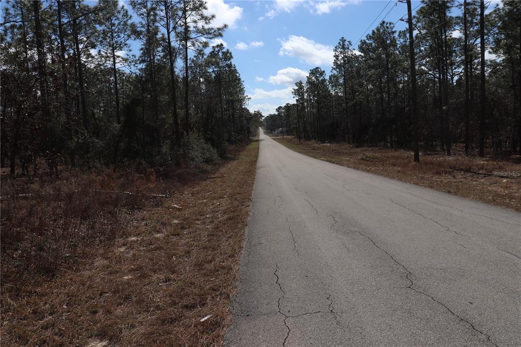 2251 Southwest Buena Vista Road Dunnellon, FL 34431 - Photo 5 of 7 a view of outdoor space and yard
