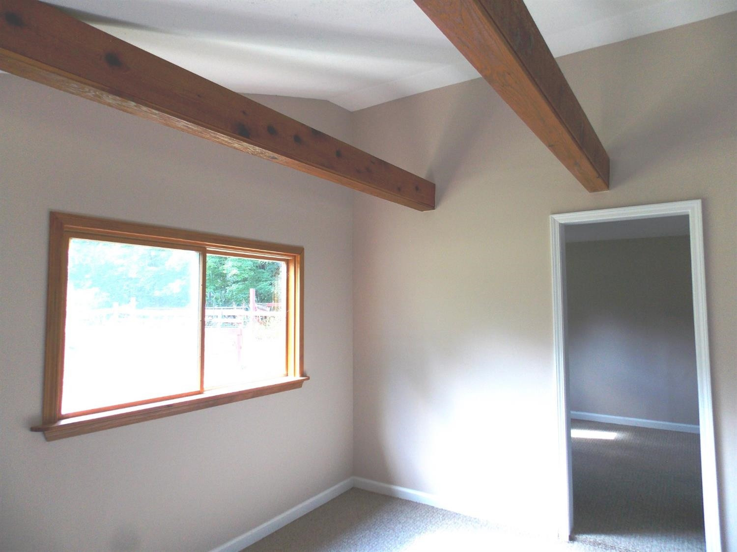 11516 Tuttle Hill Road Whittaker, MI 48190 - Photo 20 of 41 Photo 20