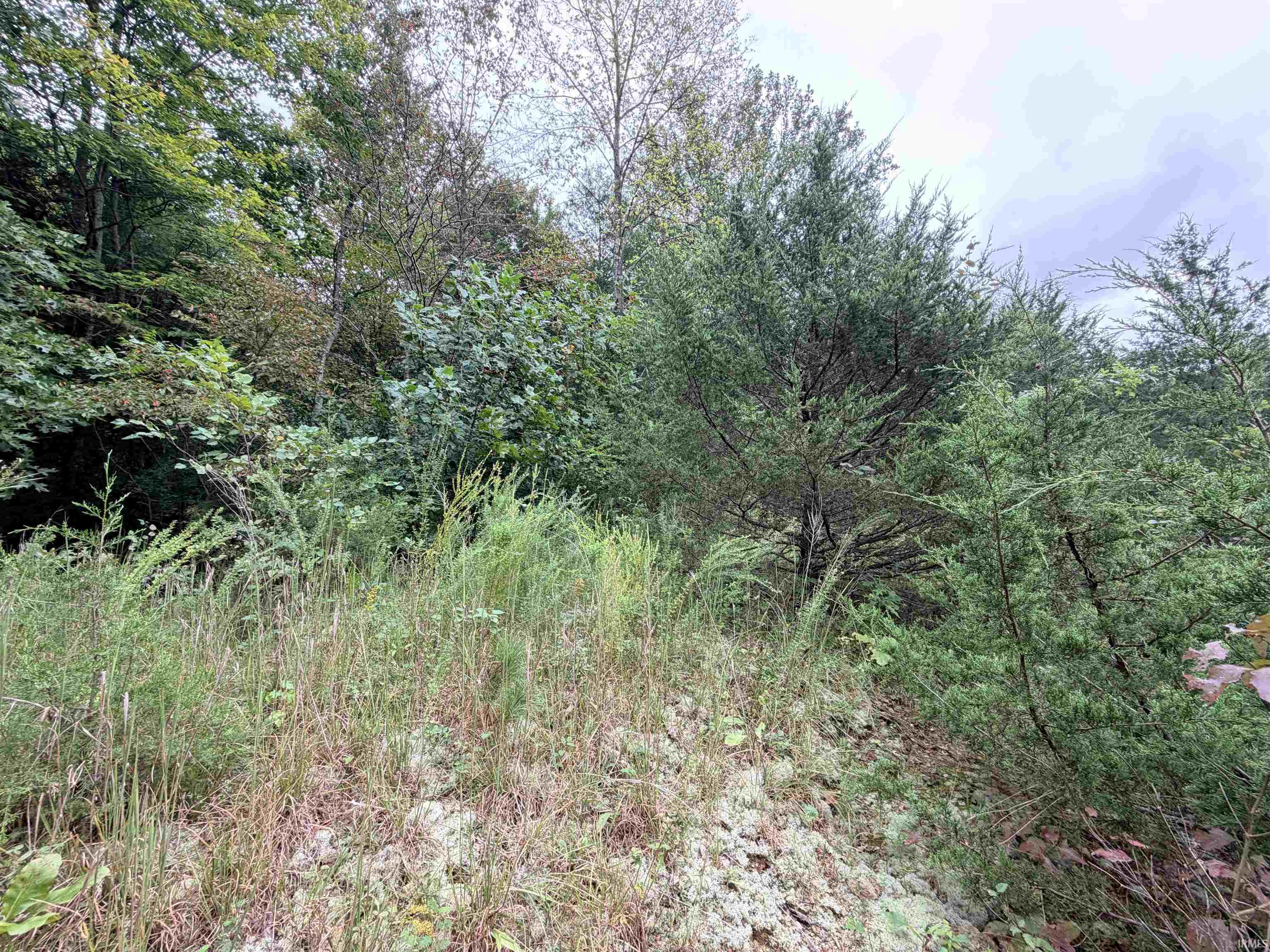 0 Steubenville Road Freedom, IN 47431 - Photo 7 of 16 Gallery Image 7