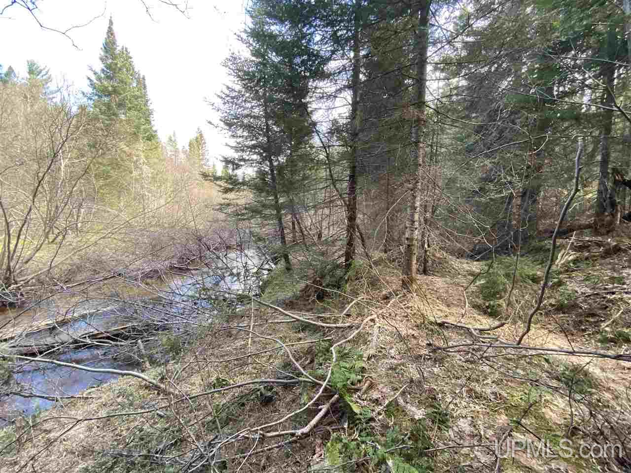 Tbd Tbd Co Road Negaunee, MI 49866 - Photo 20 of 40