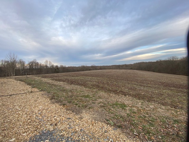 541 Tom Beasley Road Westmoreland, TN 37186 - Photo 35 of 40 Gallery Image 35