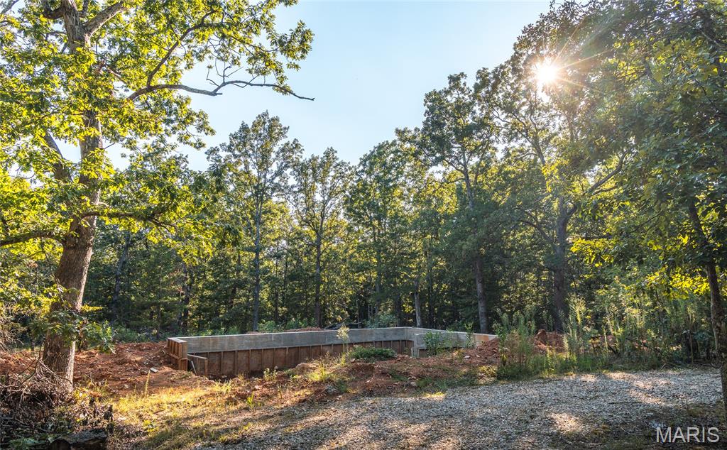16505 State Rte K Edgar Springs, MO 65462 - Photo 4 of 19 Gallery Image 4