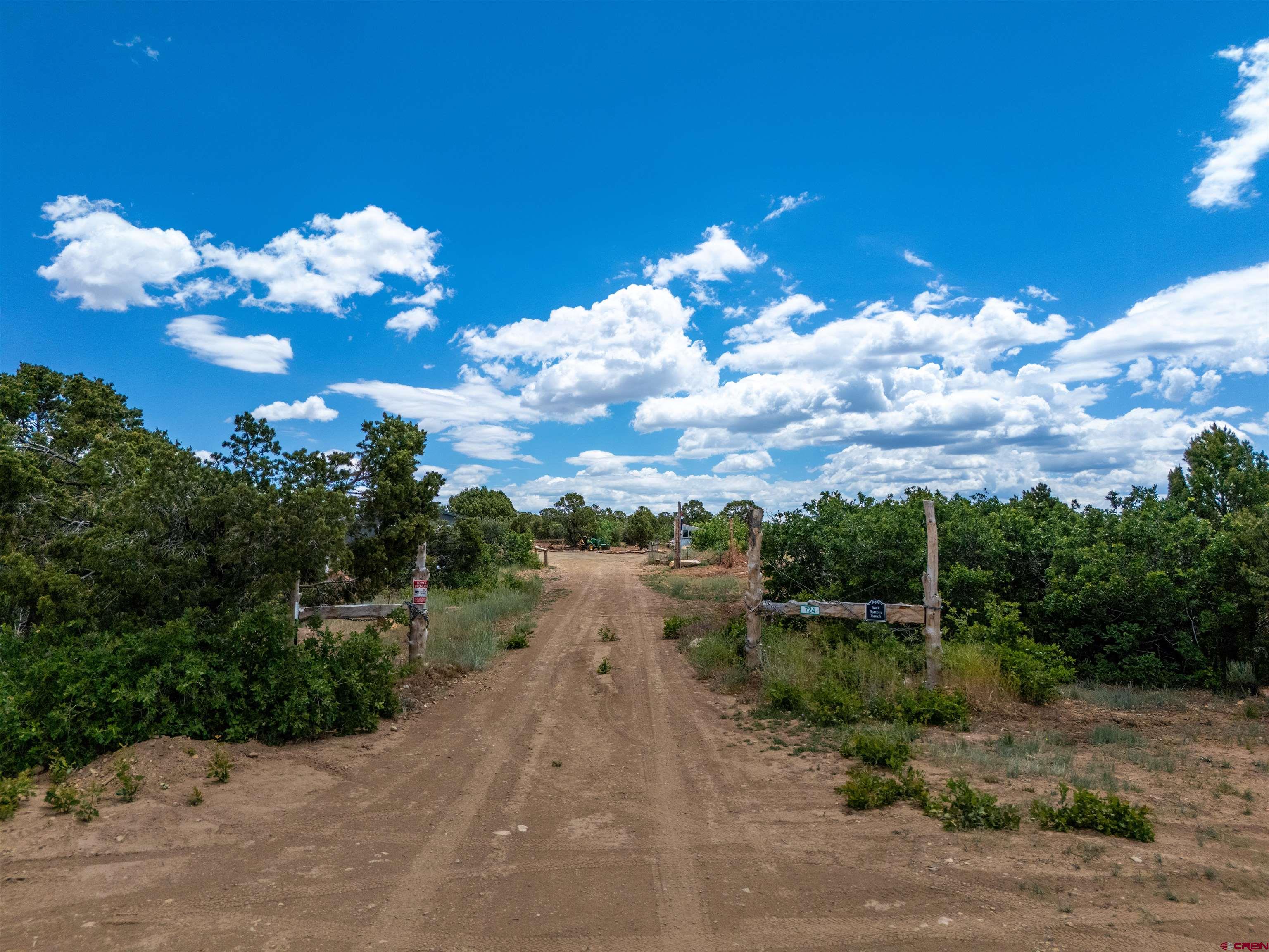 724 Blue Canyon Ranch Road Egnar, CO 81325 - Photo 19 of 45