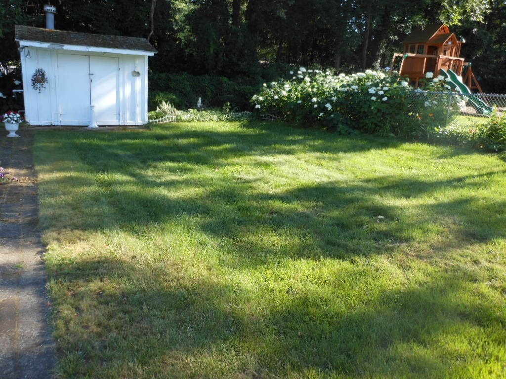 95 Palo Alto Road Springfield, MA 01128 - Photo 28 of 30 a view of a garden with a fountain