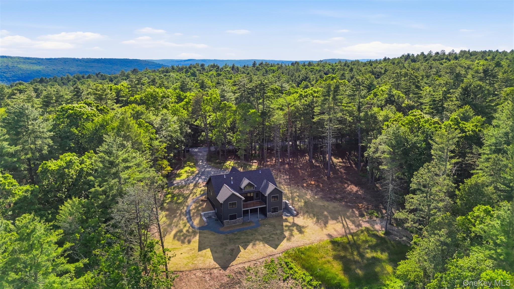 300 Van Tuyl Road Barryville, NY 12719 - Photo 3 of 50 a view of a lake in middle of forest