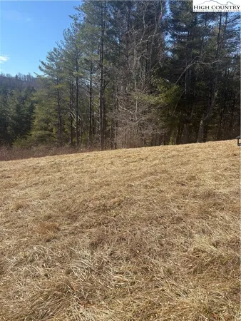 $20,000 | 3 L Memorial Park Drive, Sparta, NC 28675