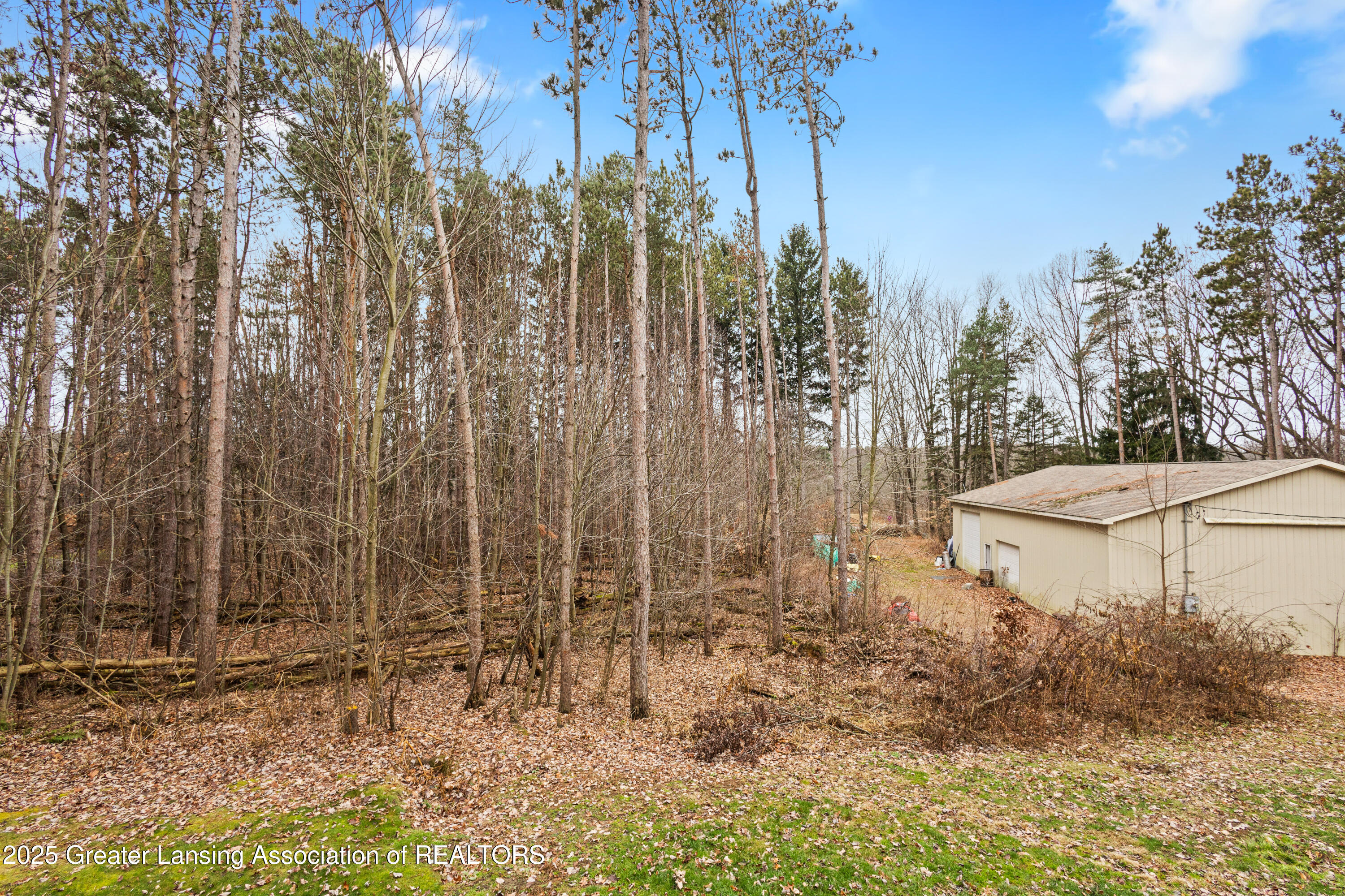 1155 West Maple Rapids Road St. Johns, MI 48879 - Photo 91 of 94 W MAPLE RAPIDS -14