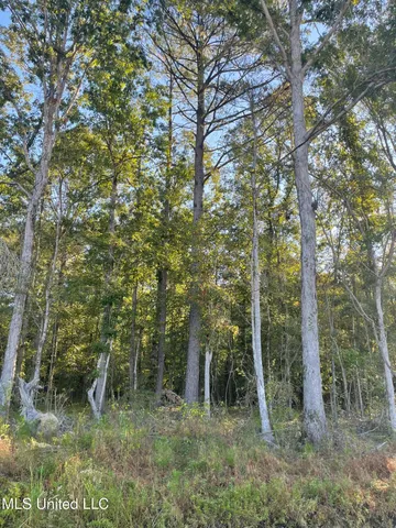 $569,500 | 490 Hwy Louisville Ms 39339, Louisville, MS 39339