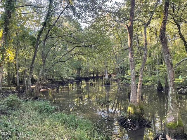 $569,500 | 490 Hwy Louisville Ms 39339, Louisville, MS 39339