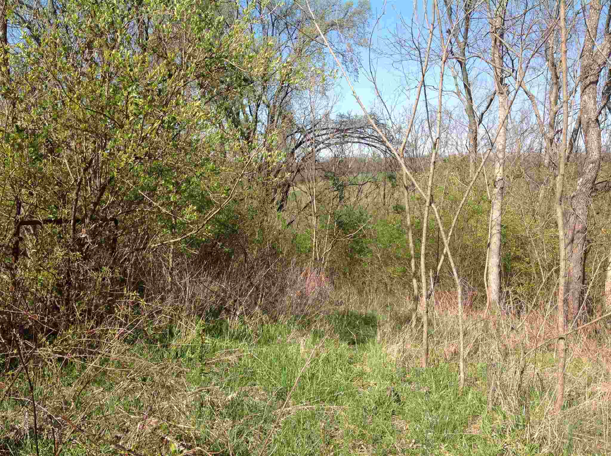 0 Johnsville-Foster Road Foster, KY 41043 - Photo 17 of 18 Gallery Image 17