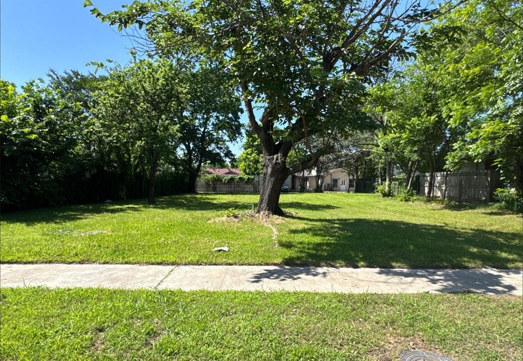 7242 Amy Street Dallas, TX 75217 - Photo 4 of 4 Expansive grass lot featuring mature trees, a paved sidewalk, and partial fencing