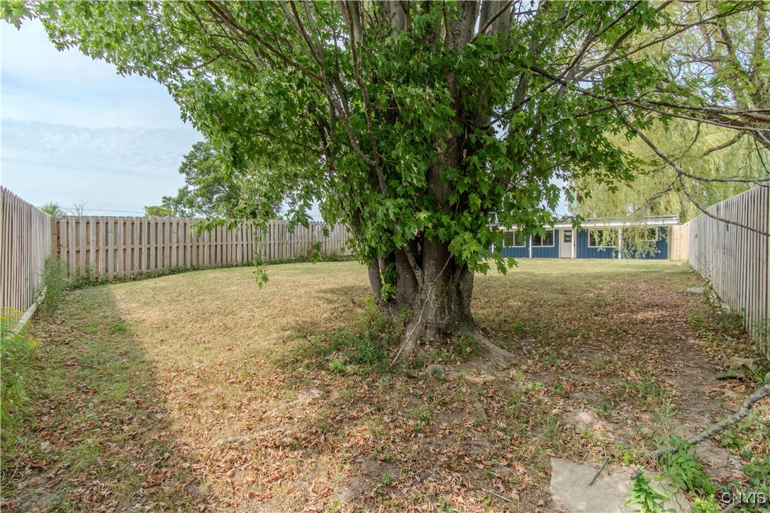 33036 Shimel Road Orleans, NY 13656 - Photo 27 of 32