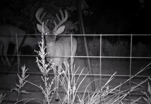 $1,910,000 | 1690 Jim Ned Road, Montague, TX 76251