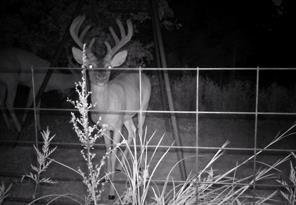 1690 Jim Ned Road Montague, TX 76251 - Photo 14 of 15 a close view of water heater room
