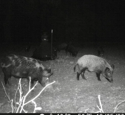 $1,910,000 | 1690 Jim Ned Road, Montague, TX 76251