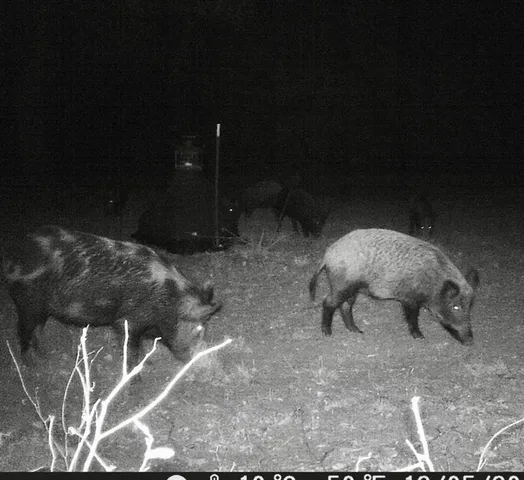 $1,910,000 | 1690 Jim Ned Road, Montague, TX 76251