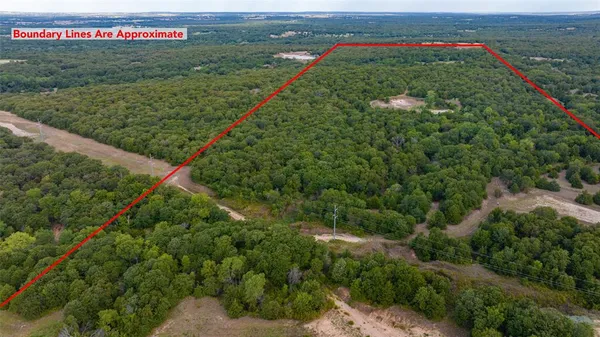 a view of a pathway both side of yard