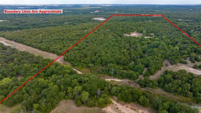 a view of a pathway both side of yard