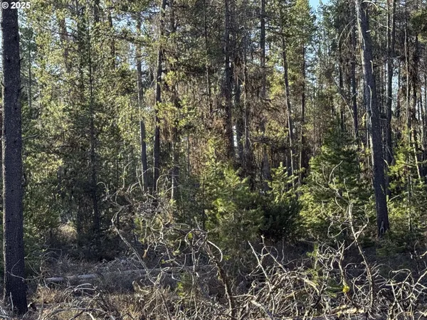 $22,000 | Artesian Drive, Unit 6, Chiloquin, OR 97624