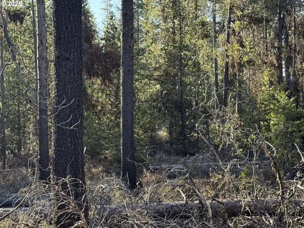 $22,000 | Artesian Drive, Unit 6, Chiloquin, OR 97624