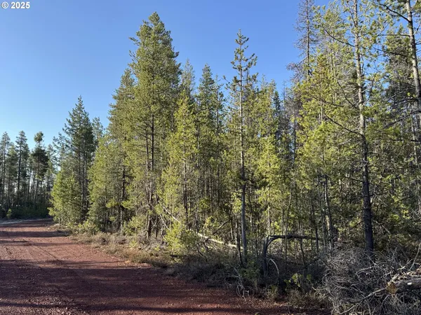 $22,000 | Artesian Drive, Unit 6, Chiloquin, OR 97624