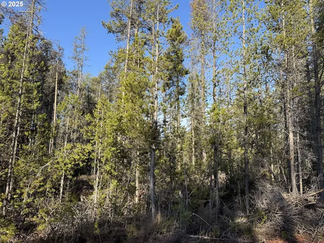 a view of a house with a tree