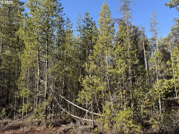 $22,000 | Artesian Drive, Unit 6, Chiloquin, OR 97624