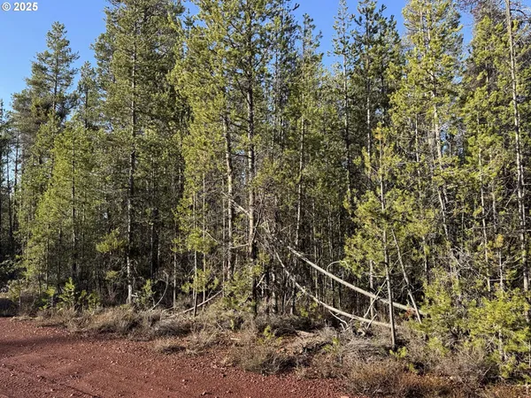 $22,000 | Artesian Drive, Unit 6, Chiloquin, OR 97624