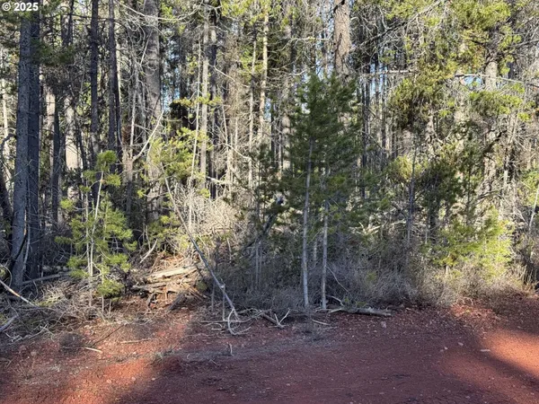 $22,000 | Artesian Drive, Unit 6, Chiloquin, OR 97624