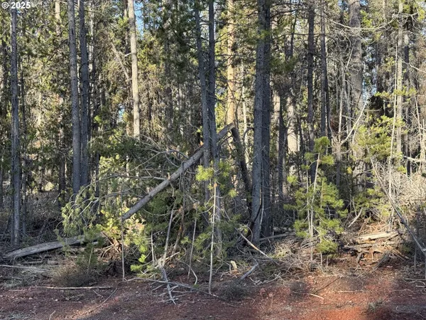 $22,000 | Artesian Drive, Unit 6, Chiloquin, OR 97624