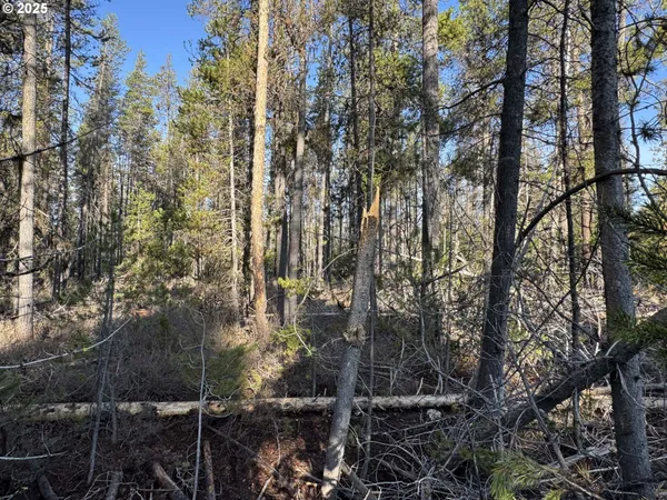 $22,000 | Artesian Drive, Unit 6, Chiloquin, OR 97624