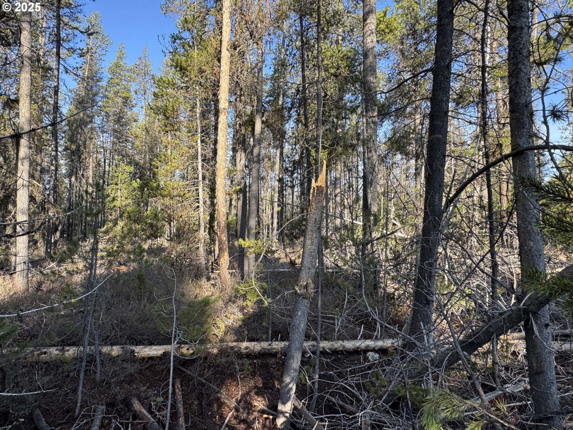 Artesian Drive, Unit 6 Chiloquin, OR 97624 - Photo 26 of 36