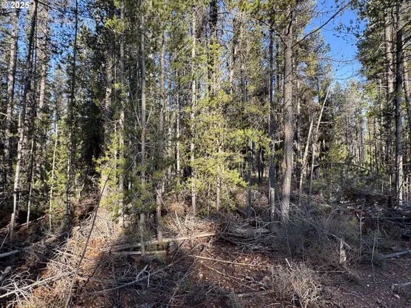 $22,000 | Artesian Drive, Unit 6, Chiloquin, OR 97624