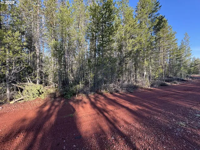 a view of a yard with tree s