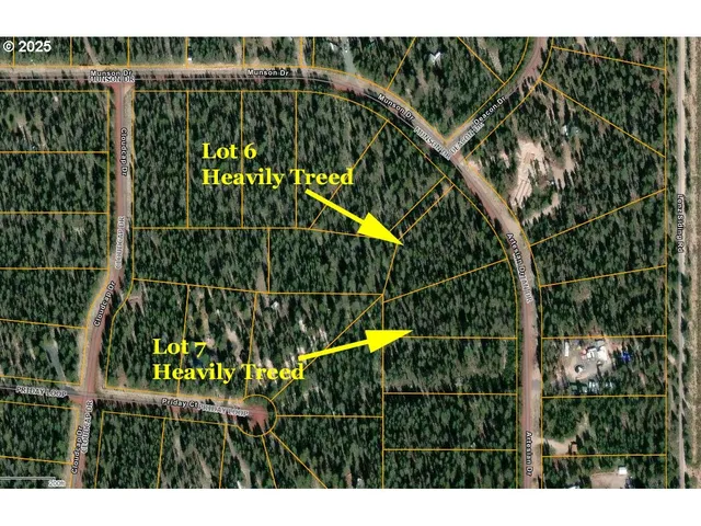 a view of a backyard with potted plants and large trees