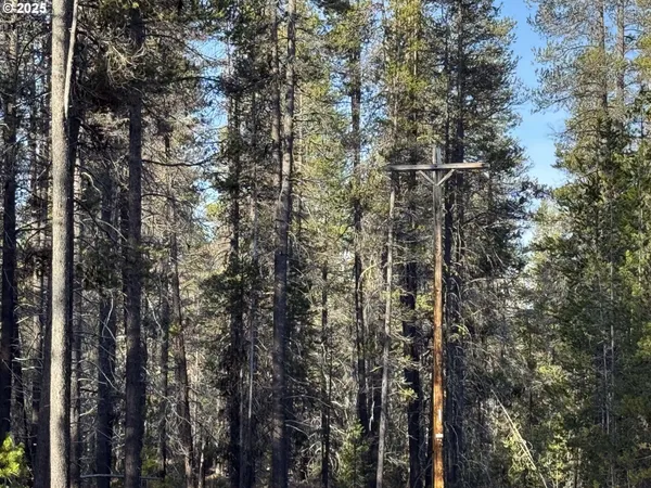 $22,000 | Artesian Drive, Unit 6, Chiloquin, OR 97624