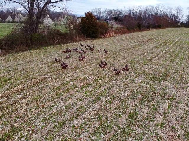 1 Yount Road Marysville, IN 47141 - Photo 8 of 15